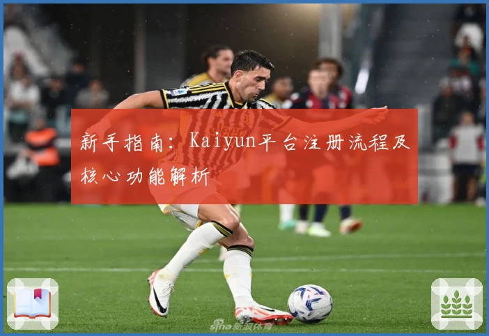 新手指南：Kaiyun平台注册流程及核心功能解析